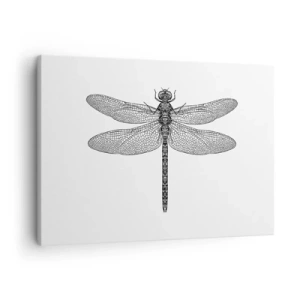 Quadro em tela - Desenho em preto e branco de uma libélula sobre fundo branco em estilo minimalista - 70x50cm - Precisão da natureza - Decoração de parede moderna para a sala de estar e quarto ARTTOR