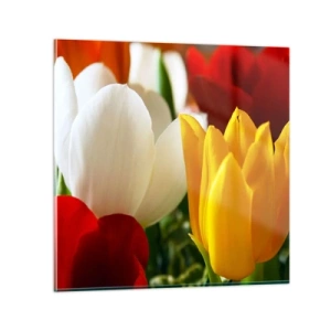 Quadro em vidro - Febre das tulipas - 60x60 cm