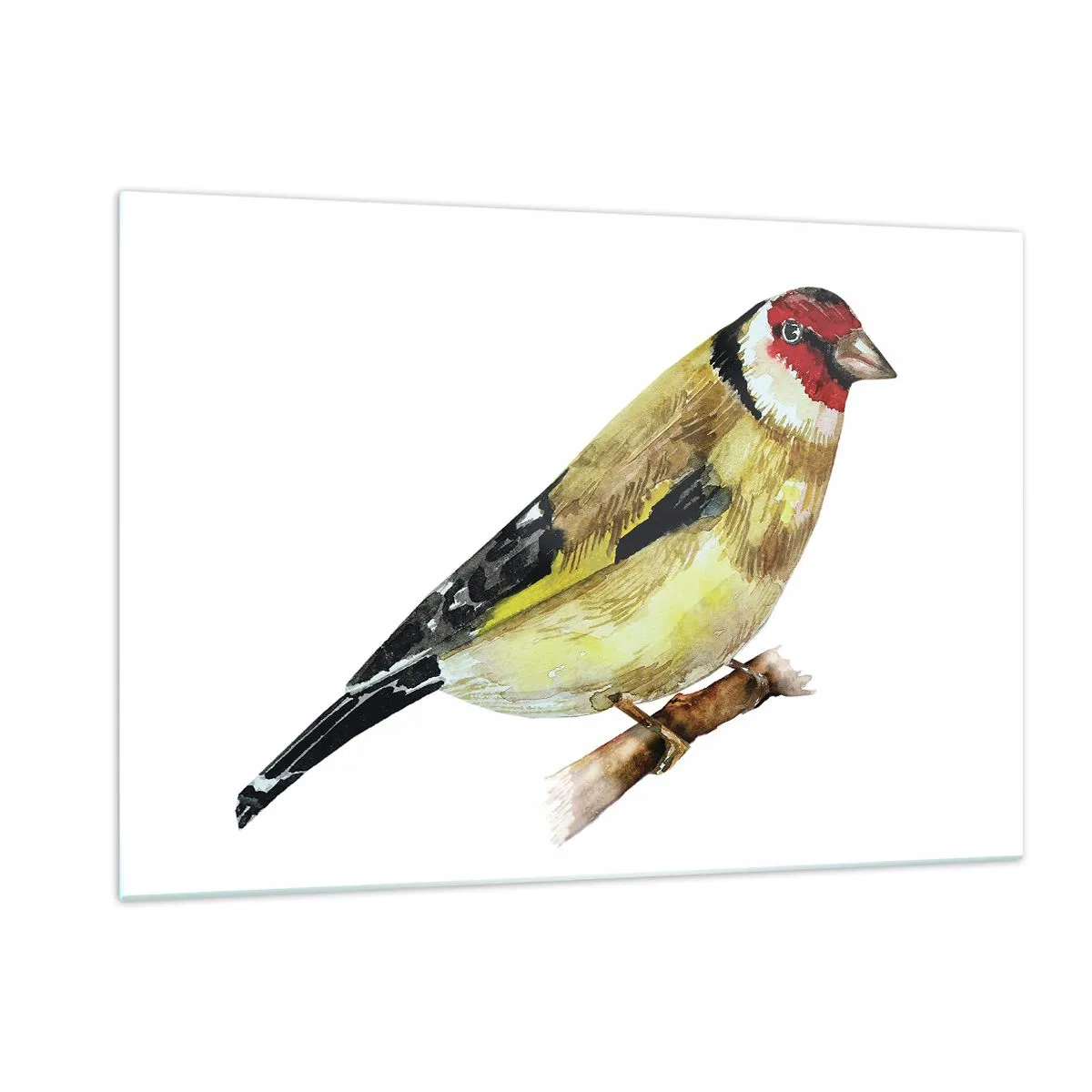 Quadro em vidro - Retrato de um pássaro - 120x80 cm