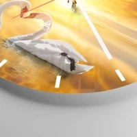 Mostrador com traços