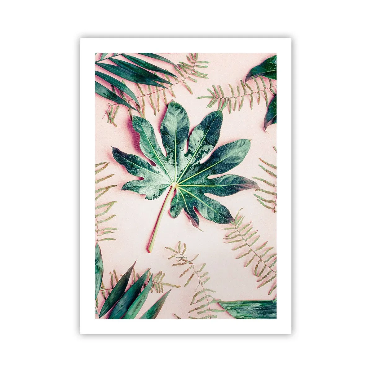 Pôster - Estudo do verde em um fundo rosa - 50x70 cm