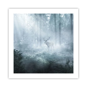 Pôster - Passeio matinal à volta da propriedade - 50x50 cm