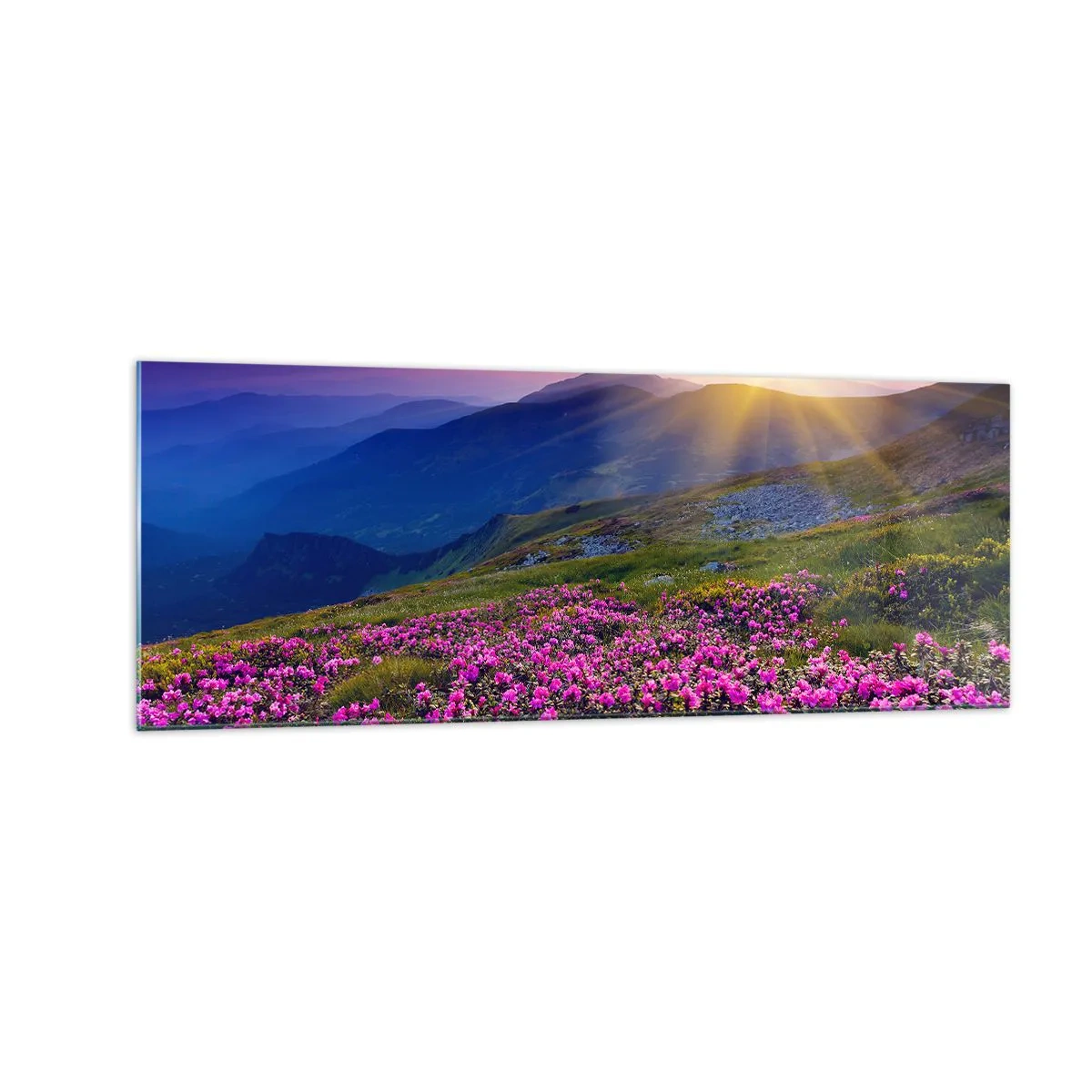 Quadro em vidro - …Cheiro de pinheiros e ervas da montanha - 140x50 cm