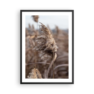 Pôster com moldura preta - Close-up de juncos secos em tons naturais contra o céu - 50x70cm - É hora de voar com o vento - Decoração de parede moderna para a sala de estar e quarto ARTTOR