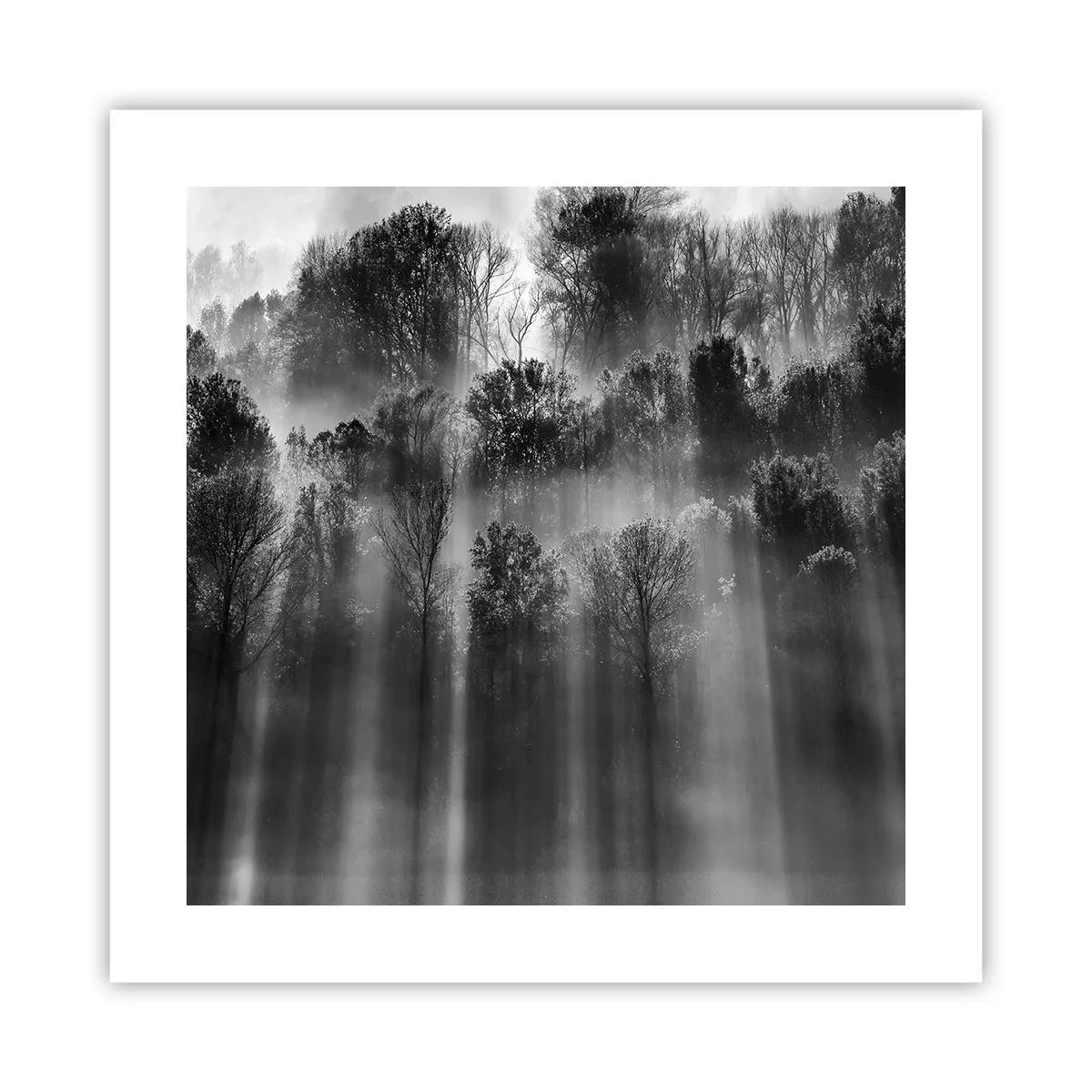 Pôster - Em correntes de luz - 40x40 cm