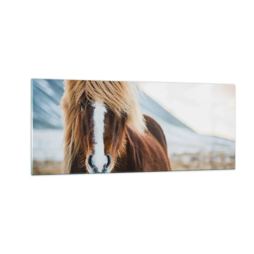 Quadro em vidro - Sentes a liberdade? - 100x40 cm