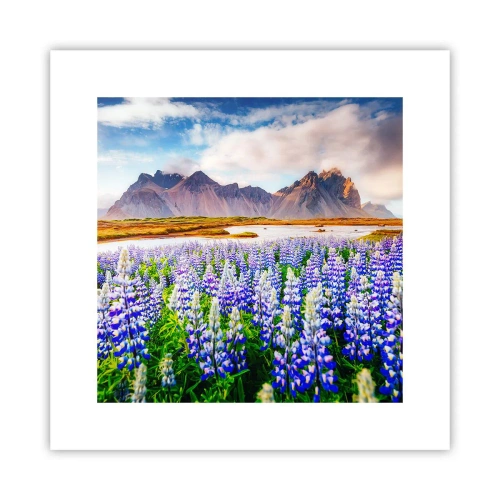 Pôster - Força e severidade ao lado da suavidade - 30x30 cm