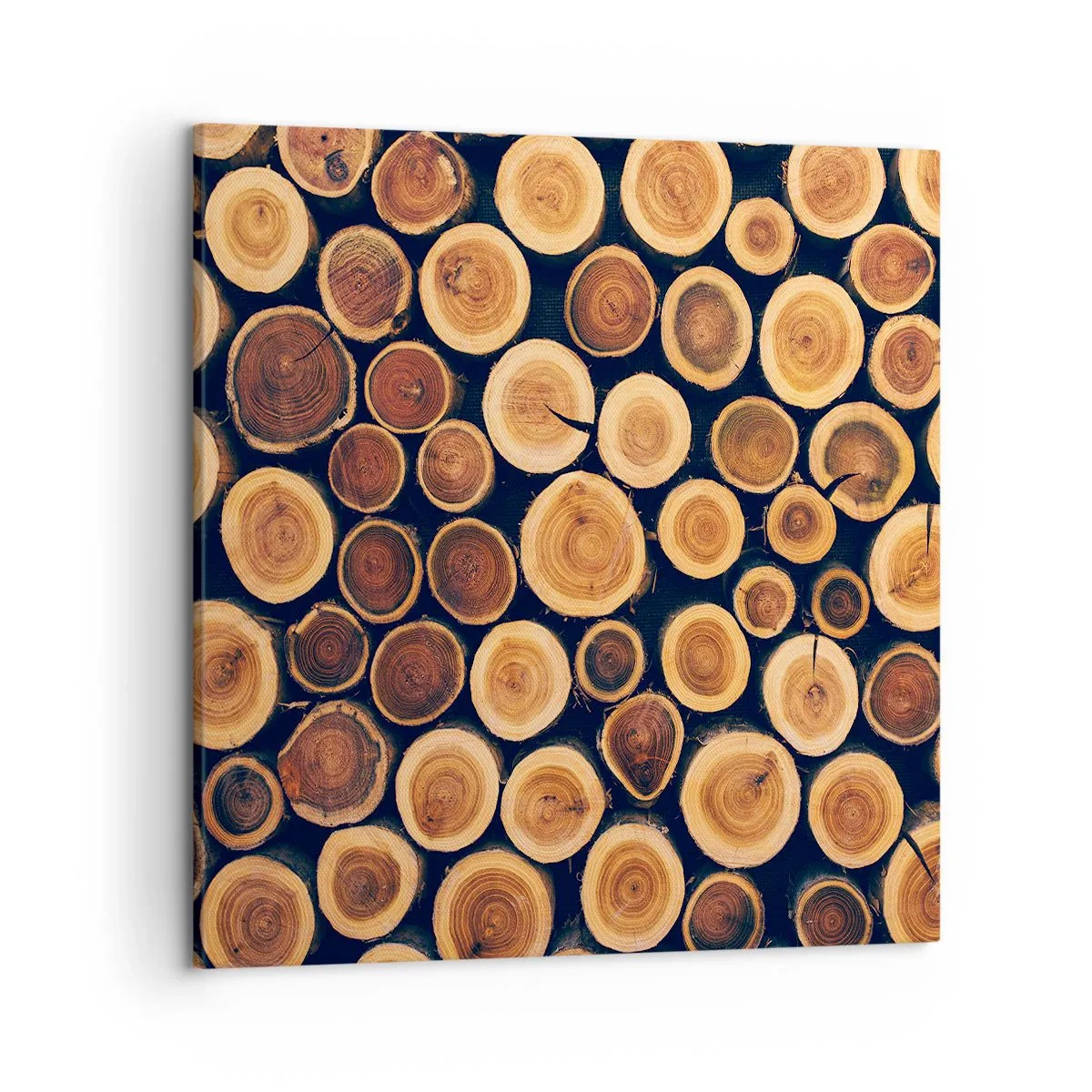 Quadro em tela - Que idade pareço ter? - 50x50 cm