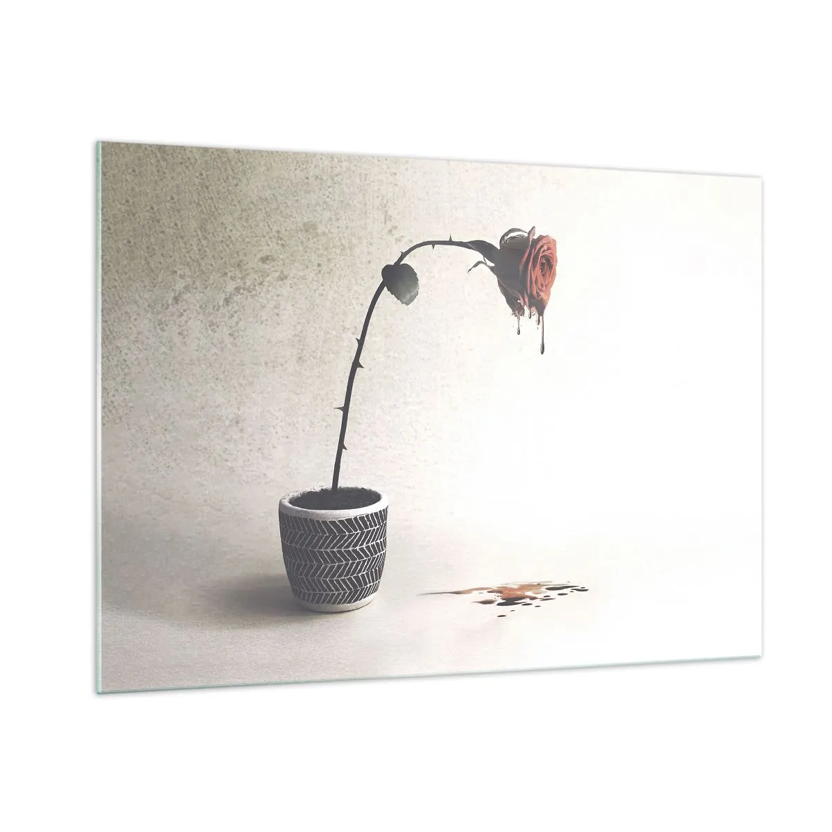 Quadro em vidro - Rosa dolorosa - 100x70 cm