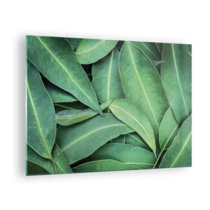 Quadro em vidro - Close-up de folhas verdes dispostas em camadas - 70x50cm - Suculentas e frescas - Decoração de parede moderna para a sala de estar e quarto ARTTOR