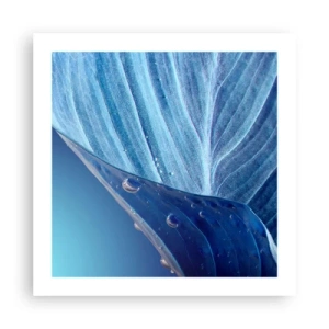 Pôster - Gotas escondidas no azul - 50x50 cm