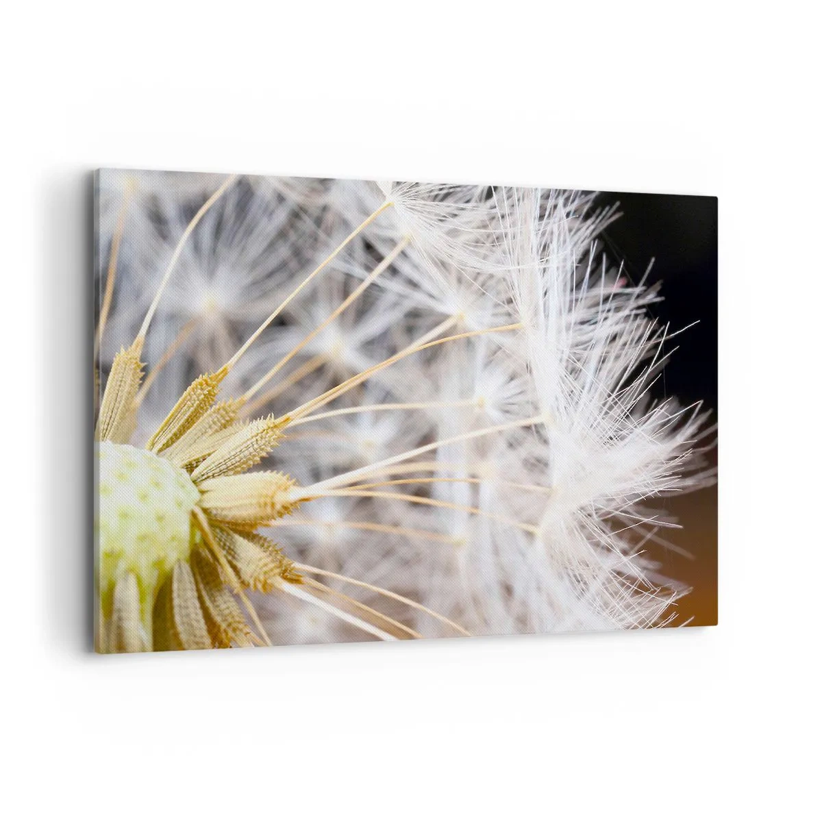 Quadro em tela - Pouco antes de partir - 100x70 cm