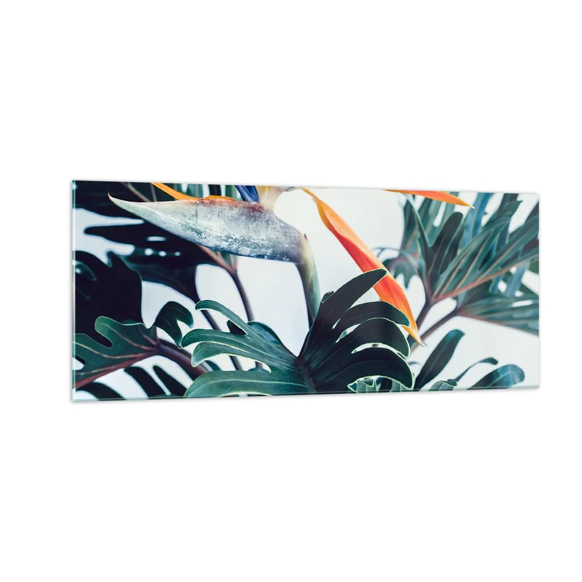 Quadro em vidro - Arbusto de passarinho - 100x40 cm