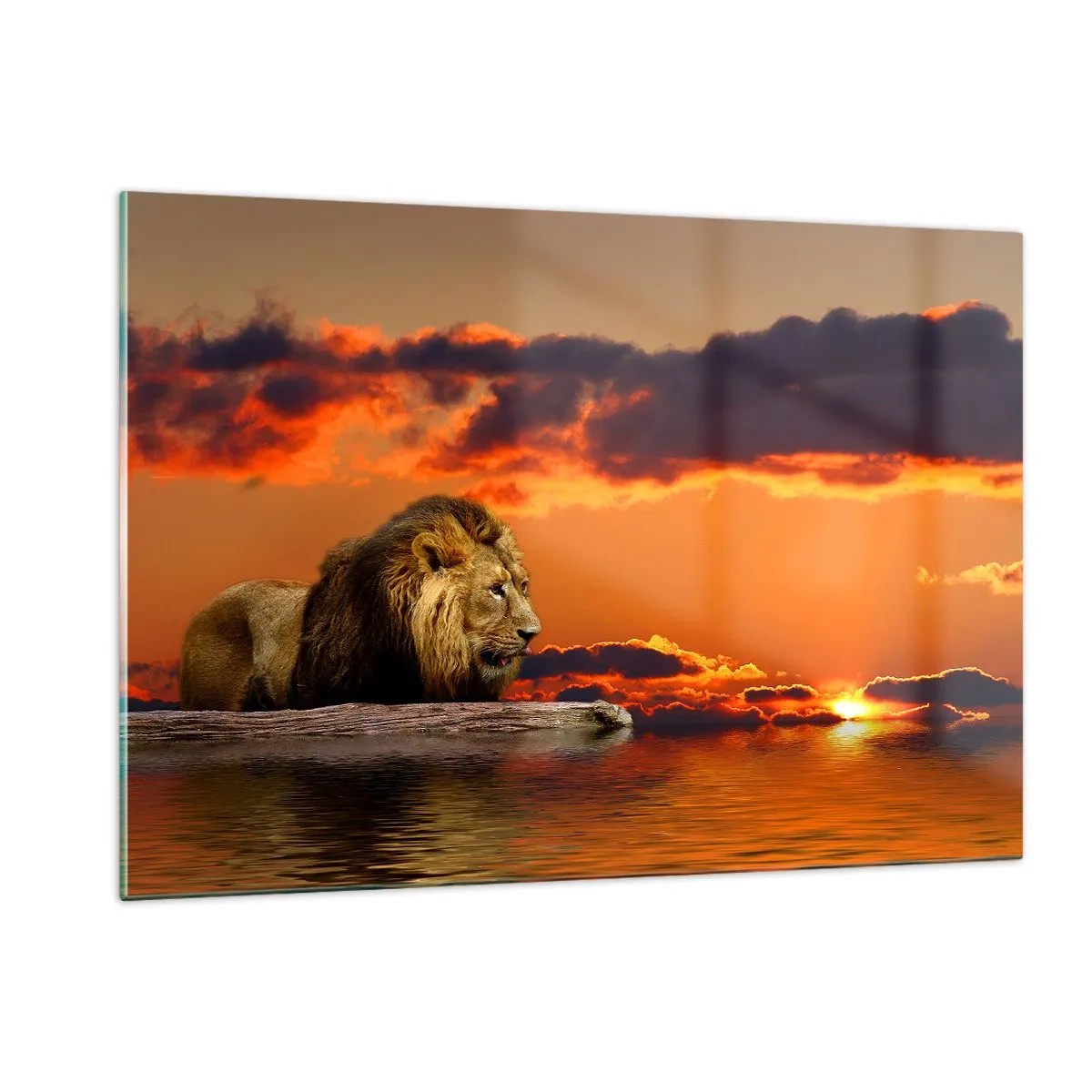 Quadro em vidro - Rei da natureza - 120x80 cm