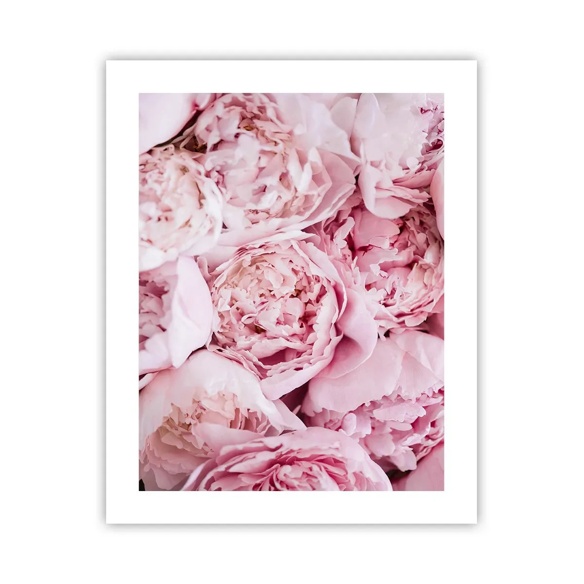 Pôster - Aconchego e perfume - 40x50 cm