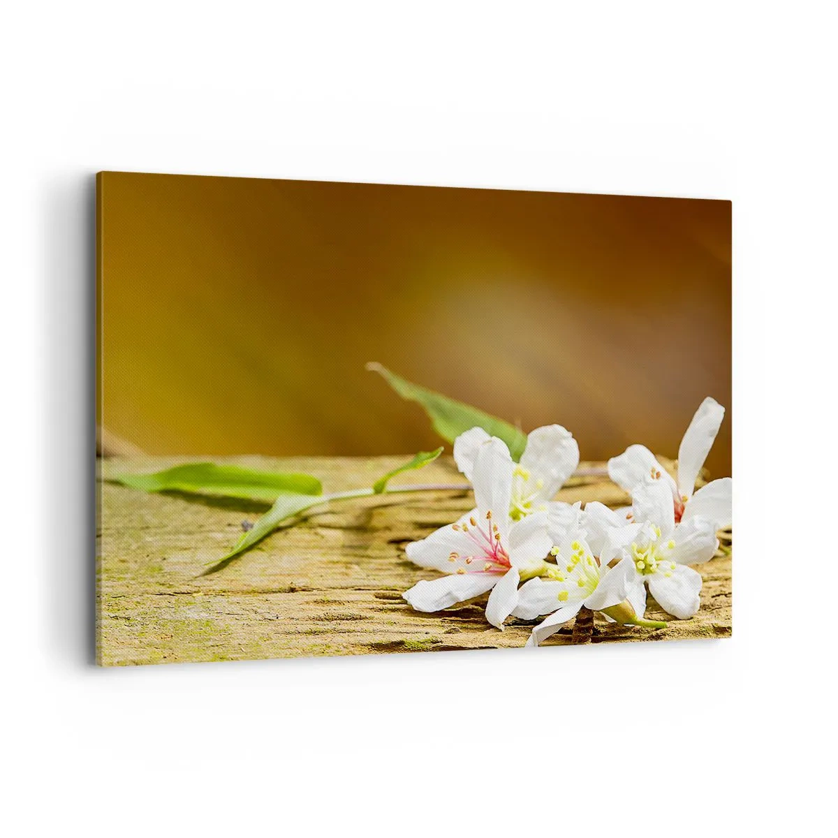 Quadro em tela - Uma promessa inocente - 120x80 cm