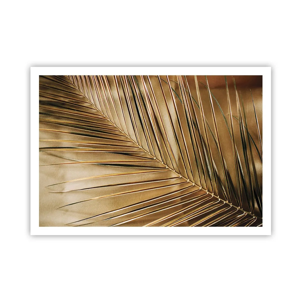 Pôster - Colunata natural - 100x70 cm