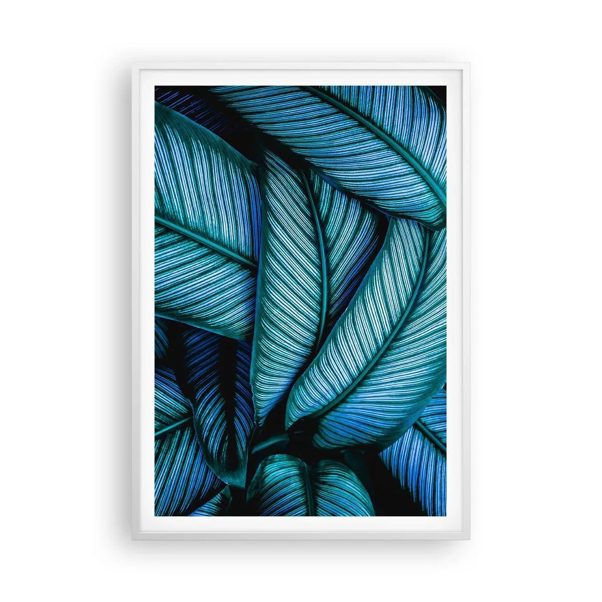 Pôster em moldura branca - Linhas de vida - 70x100 cm