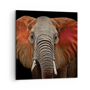 Quadro em tela - Eu sou selvagem, e você? - 50x50 cm