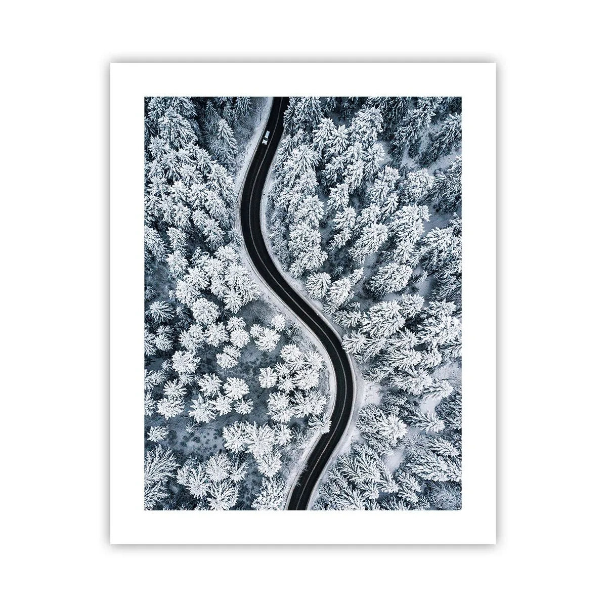 Pôster - Pelaa floresta no inverno - 40x50 cm