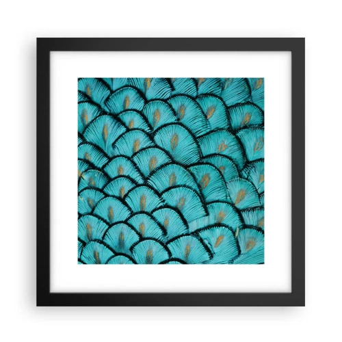 Pôster com moldura preta - A grande gala de penas - 30x30 cm