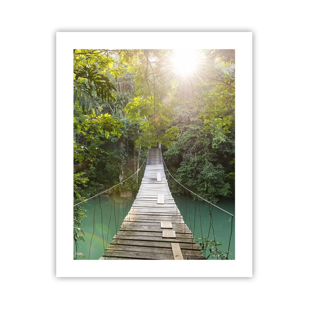 Pôster - Da água azul para a floresta azul - 40x50 cm