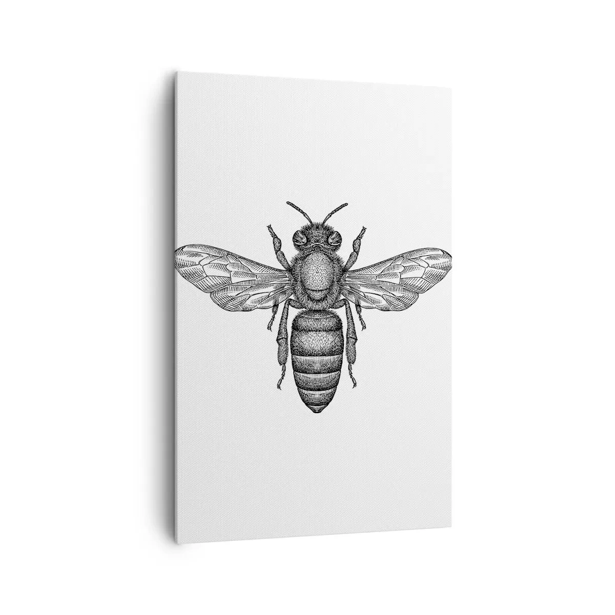 Quadro em tela - Retrato de um inseto - 80x120 cm