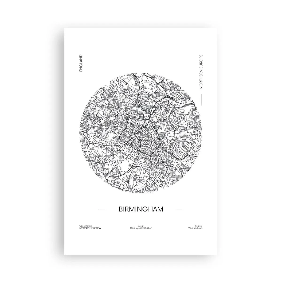 Pôster - Anatomia de Birmingham - 61x91 cm