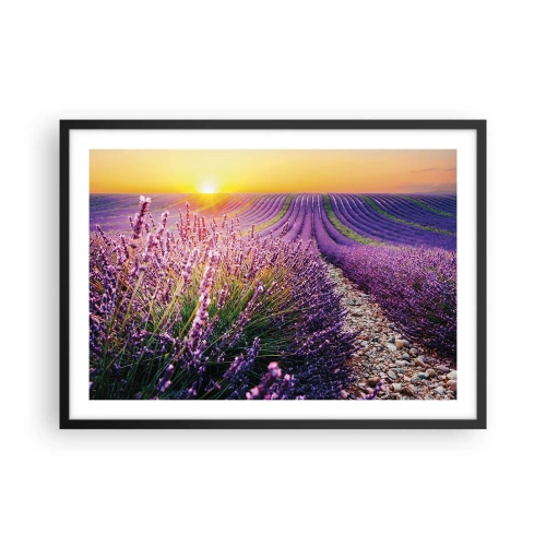 Pôster com moldura preta - Prado perfumado - 70x50 cm