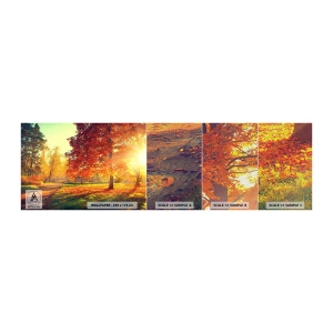 Amostra de papel de parede Premium Canvas - O vermelho é lindo - Paisagem, Parque, Natureza - 100x30 cm