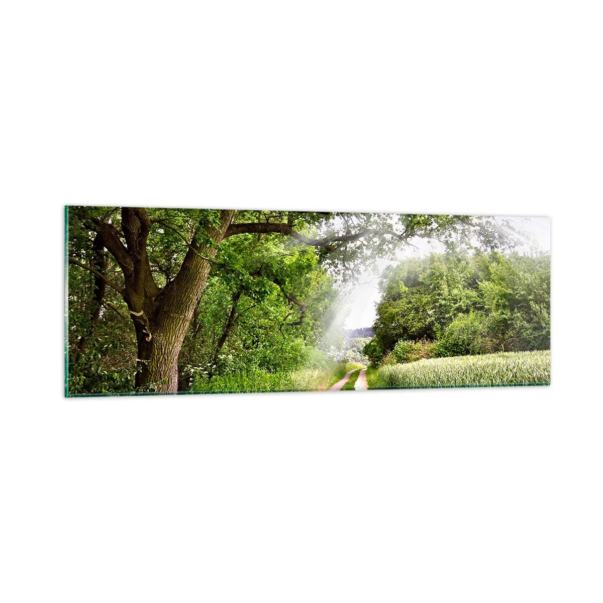 Quadro em vidro - Os pastores de Arcadia - 90x30 cm