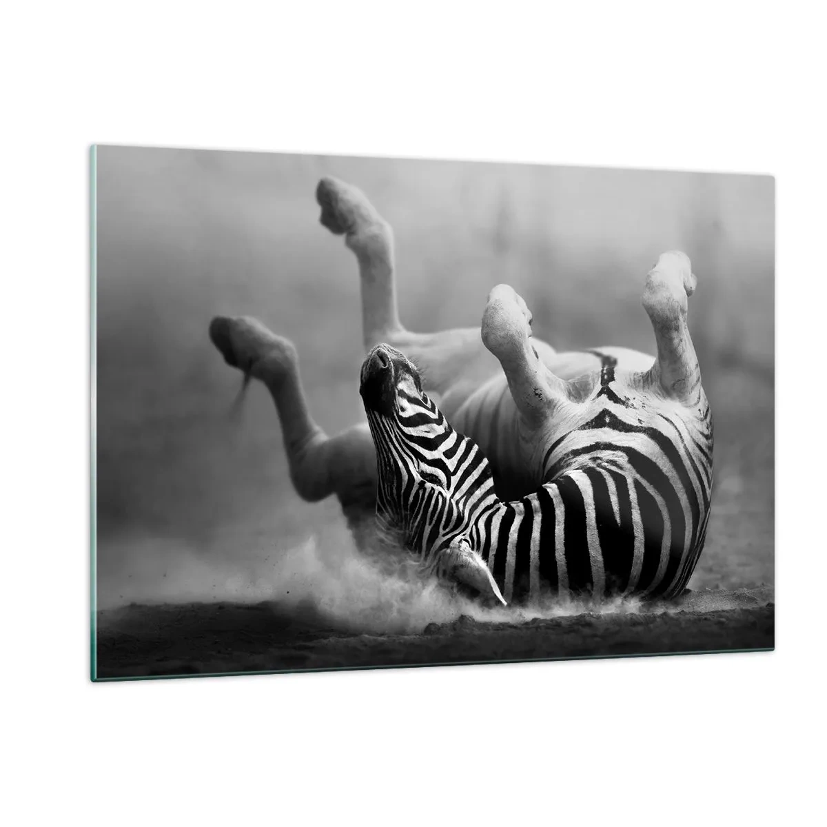 Quadro em vidro - Vai dar zebra - 120x80 cm