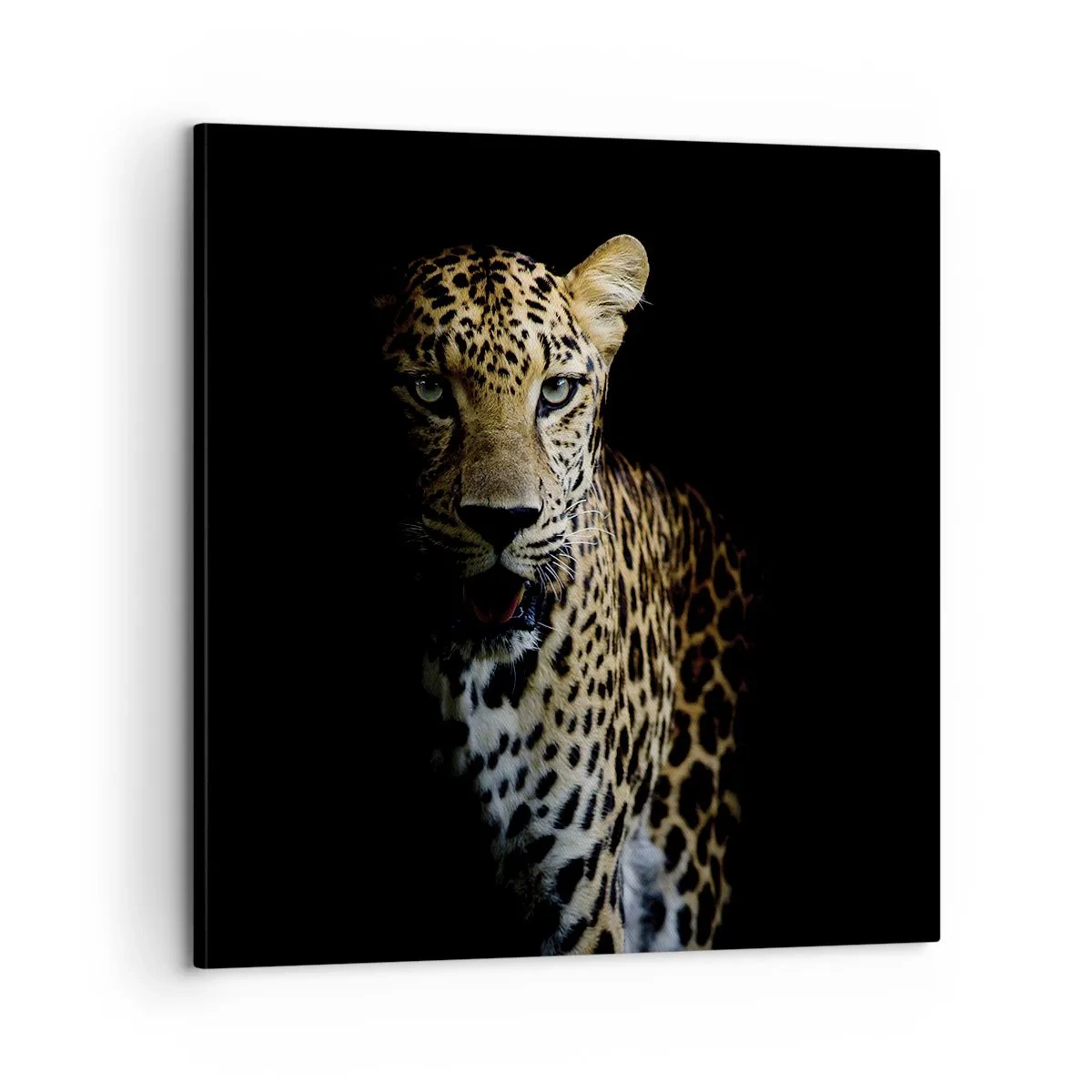 Quadro em tela - Beleza escura - 60x60 cm