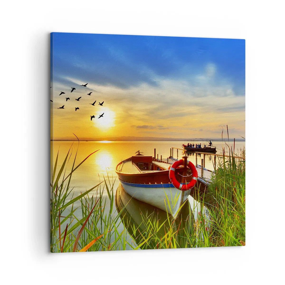 Quadro em tela - Os corvos-marinhos já estão de saída - 50x50 cm