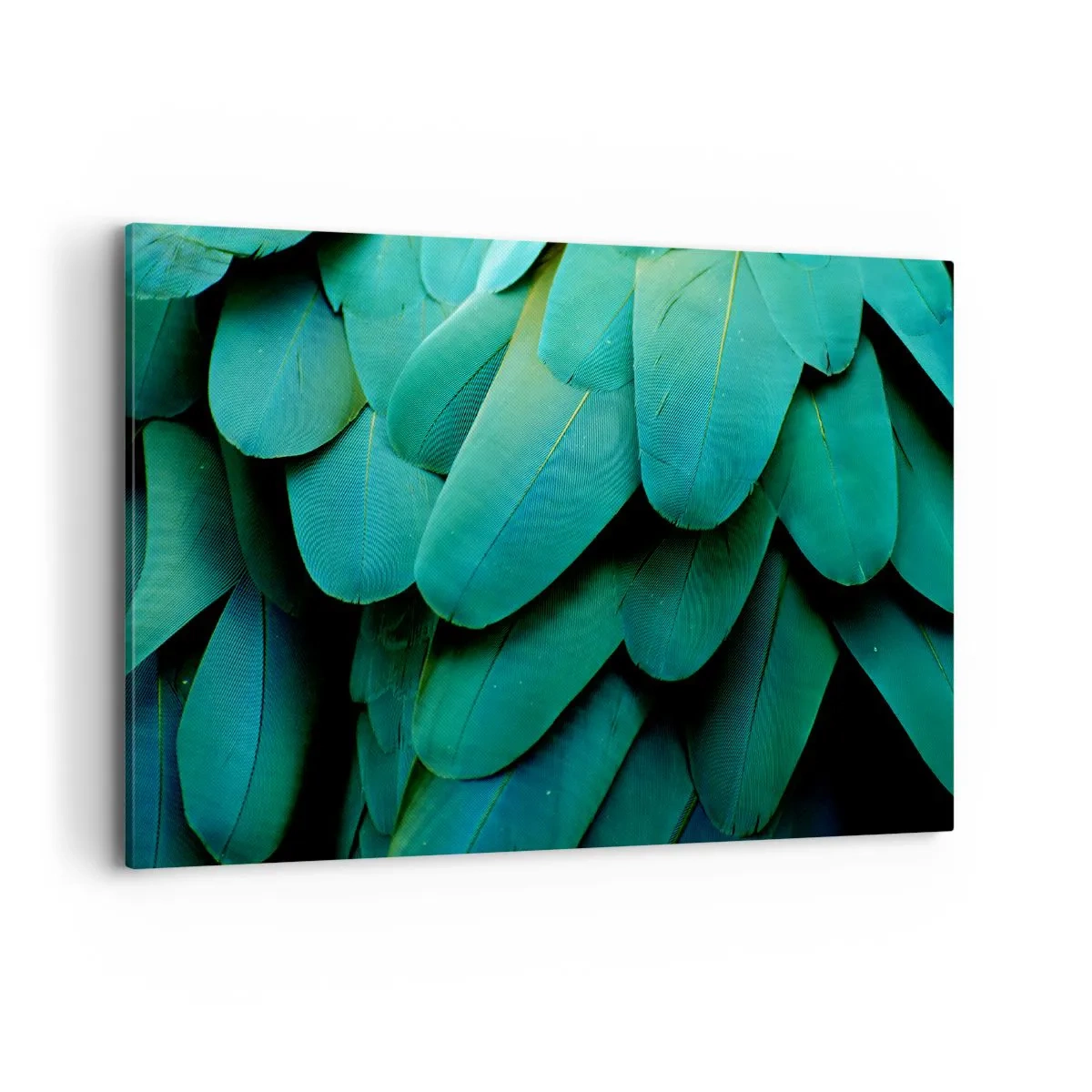 Quadro em tela - Precisão de papagaio - 100x70 cm