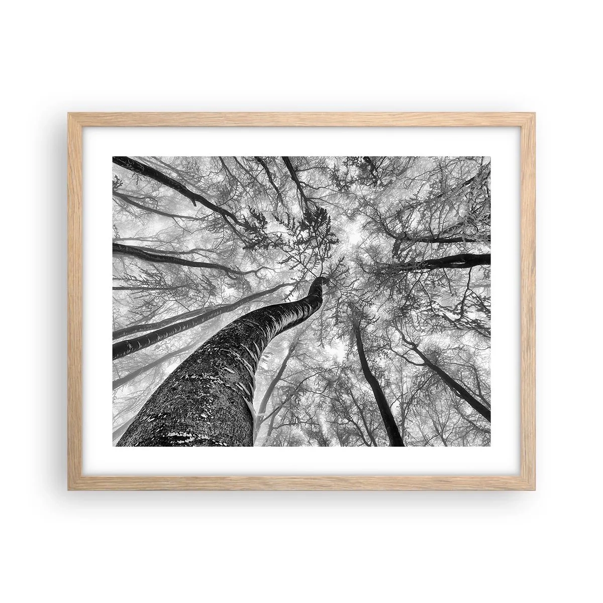 Pôster com moldura de carvalho claro - Corrida até a luz - 50x40 cm