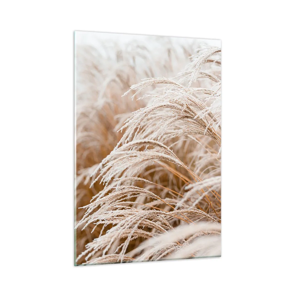 Quadro em vidro - Curvar-se ao sol de outono - 50x70 cm