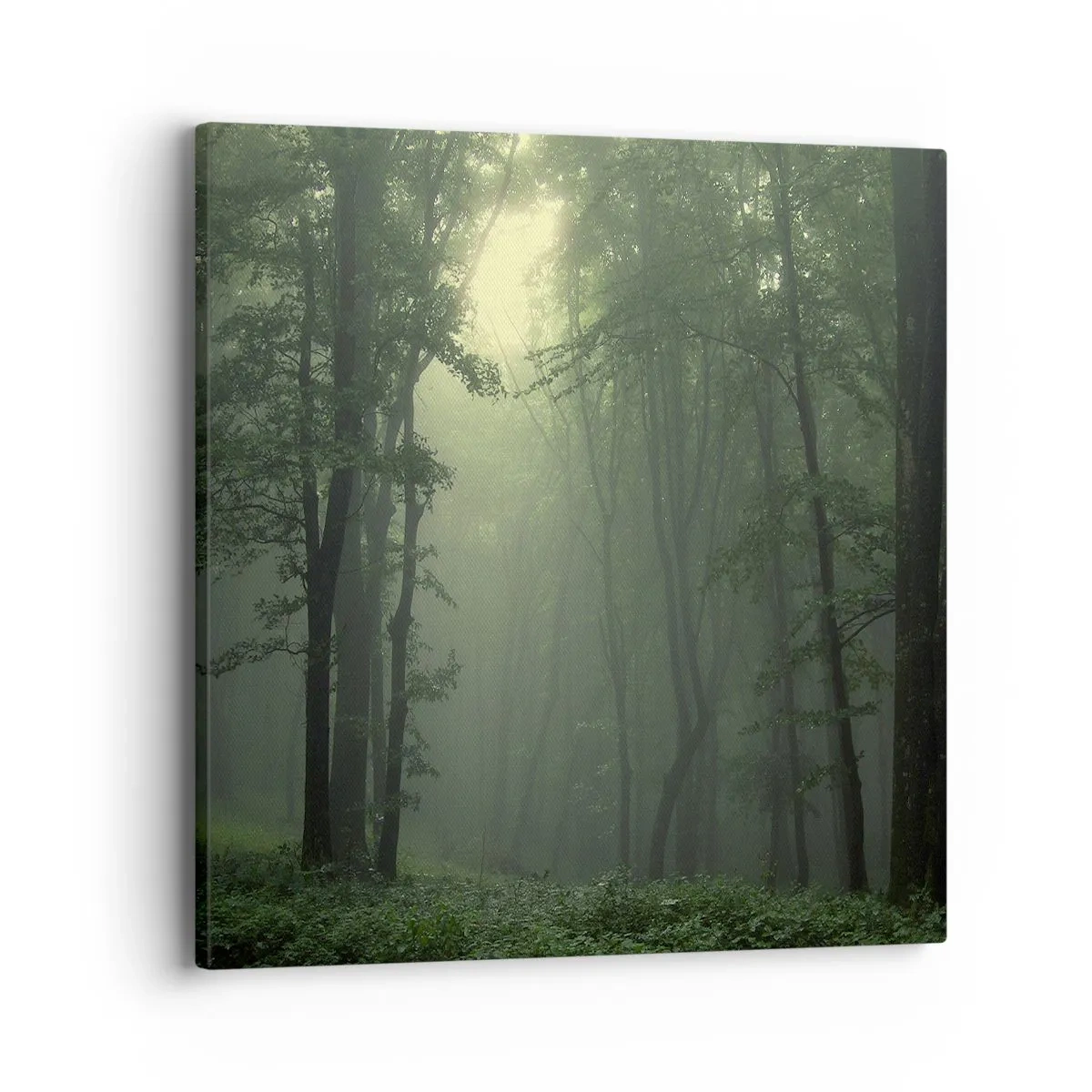 Quadro em tela - Antes de acordar - 40x40 cm