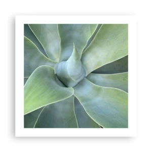 Pôster - O nascimento da vegetação - 50x50 cm