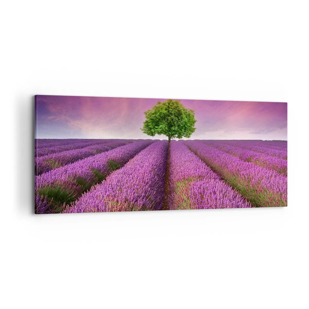 Quadro em tela - Nos campos de lavanda - 120x50 cm