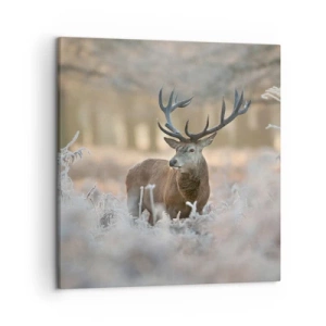 Quadro em tela - Uma manhã fresca - 50x50 cm