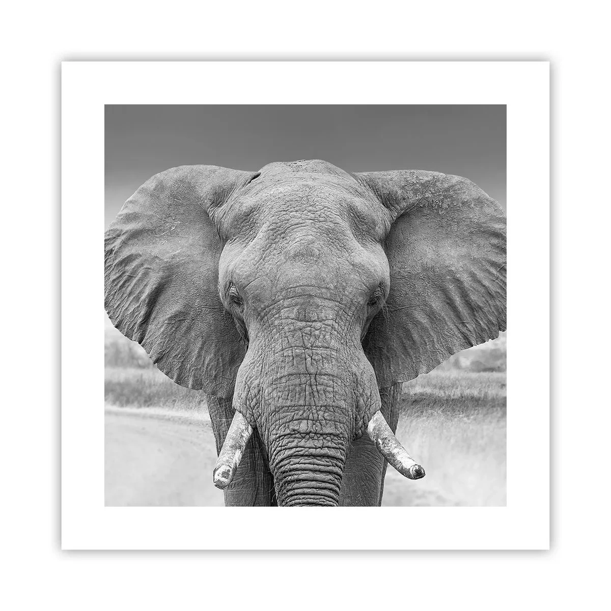 Pôster - Bem-vindo ao meu mundo - 40x40 cm