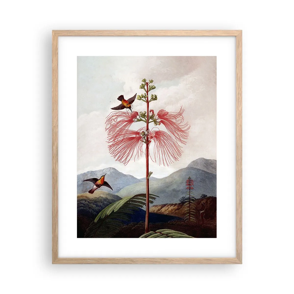 Pôster com moldura de carvalho claro - Em um paraíso tropical - 40x50 cm