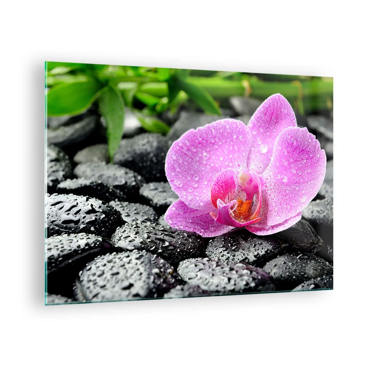 Quadro em vidro - Flor de orquídea rosa em pedras pretas molhadas - 70x50cm - Como um coração aberto - Decoração de parede moderna para a sala de estar e quarto ARTTOR