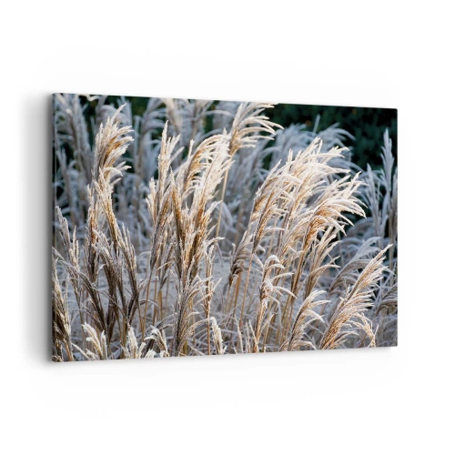 Quadro em tela - Decorado com a geada - 100x70 cm