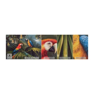 Amostra de papel de parede Premium Sand - Romantismo nos trópicos - Papagaio Ara, Animais, Floresta tropical - 100x30 cm
