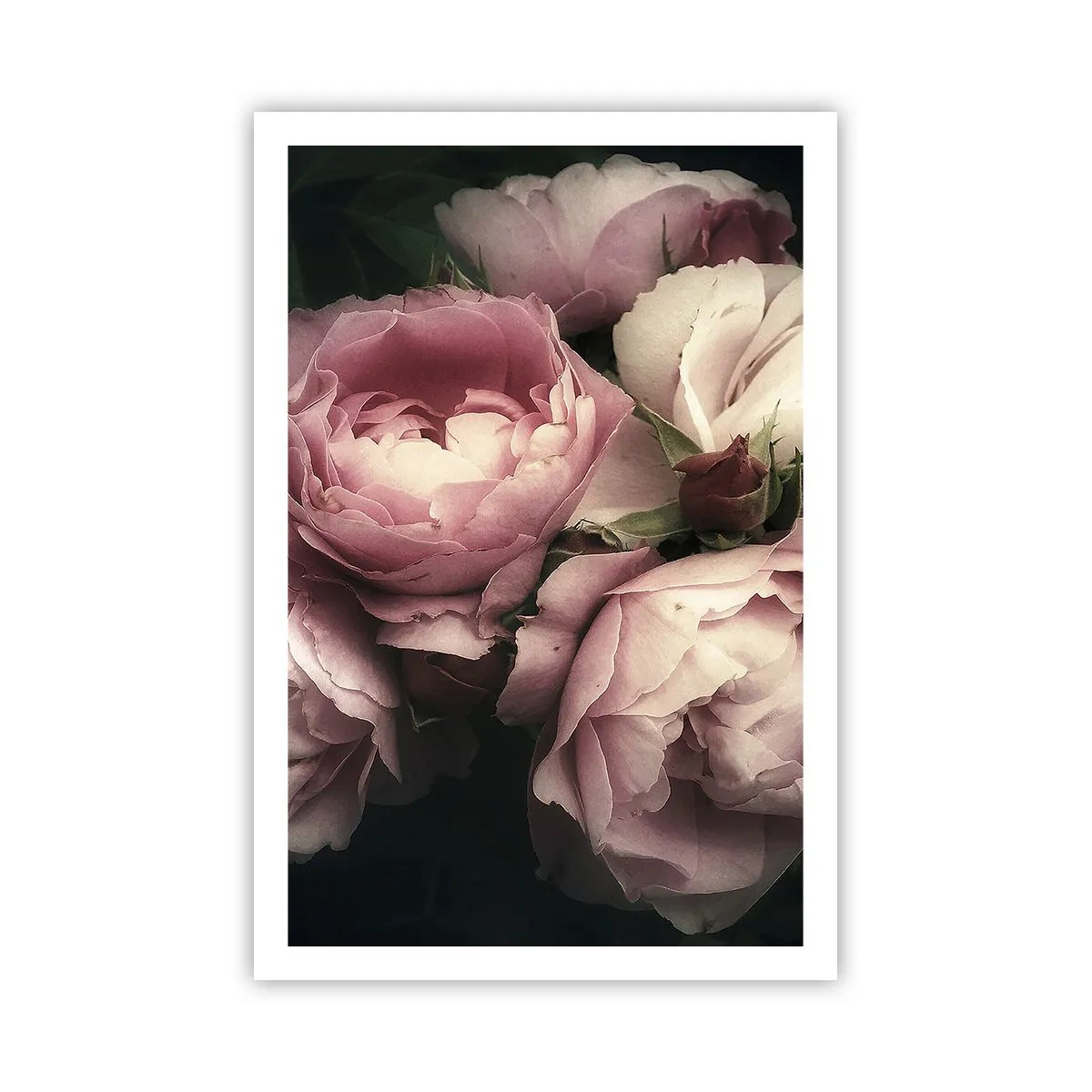 Pôster - O encanto da belle epoque - 61x91 cm