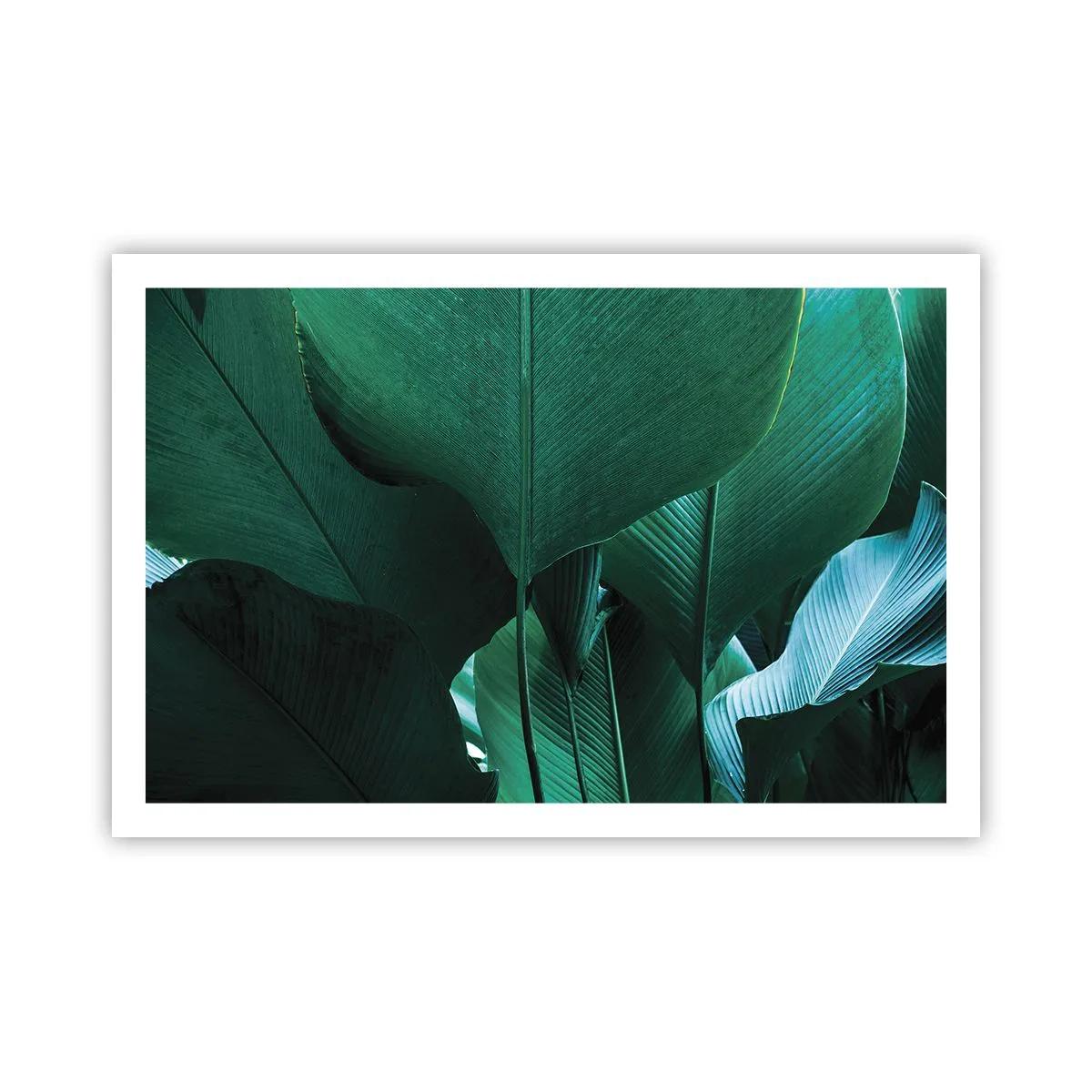 Pôster - De frente para a luz - 91x61 cm