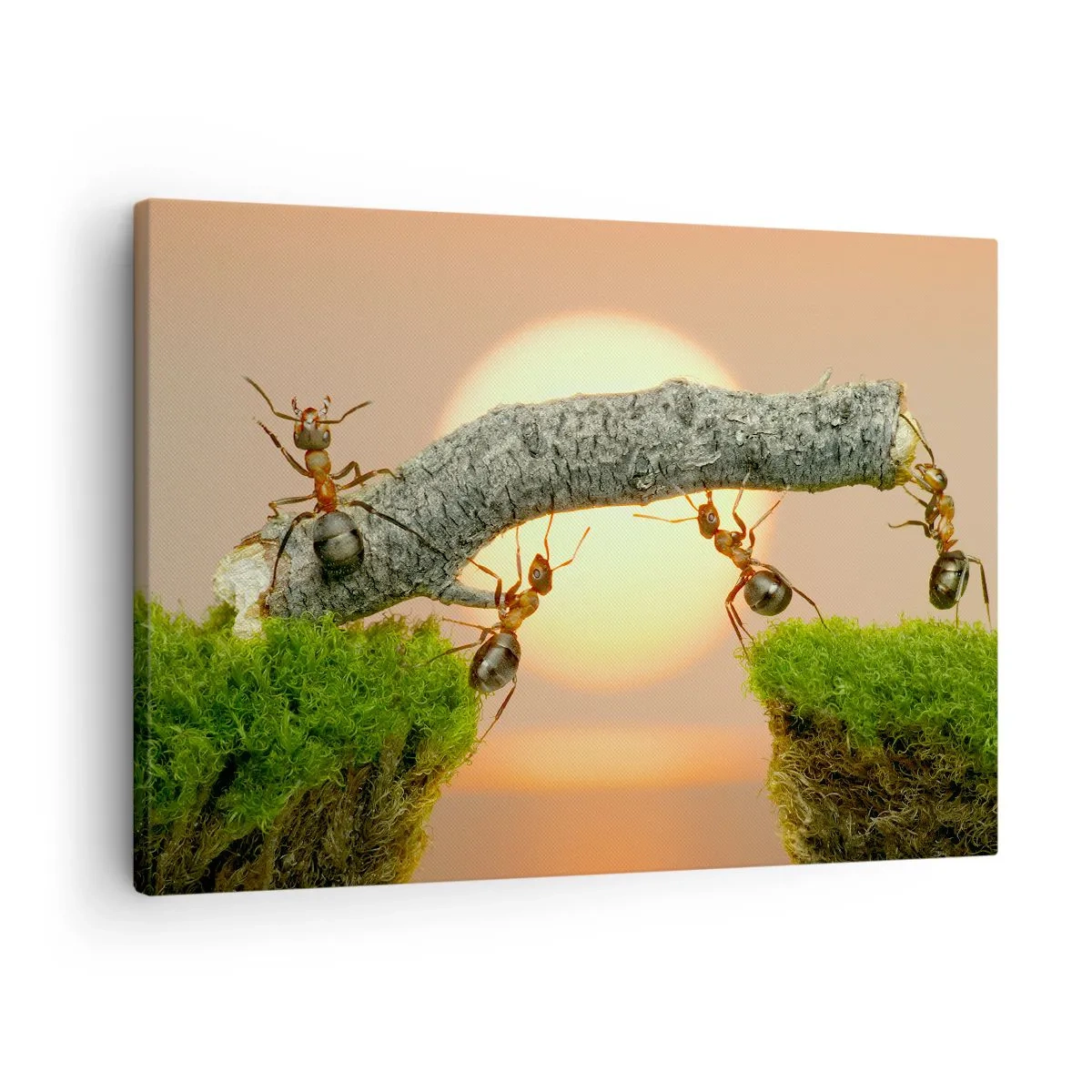 Quadro em tela - Formigas construindo uma ponte de galhos tendo como pano de fundo o pôr do sol. - 70x50cm - Trabalho alegre e colaborativo - Decoração de parede moderna para a sala de estar e quarto ARTTOR