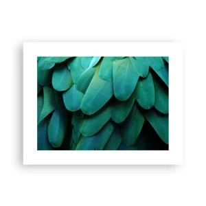 Pôster - Precisão de papagaio - 40x30 cm